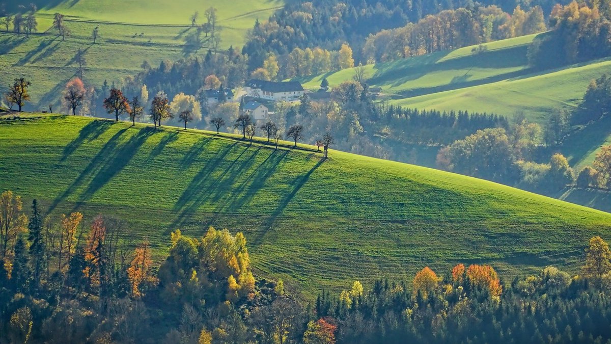 How to spot native birds on a countryside walk