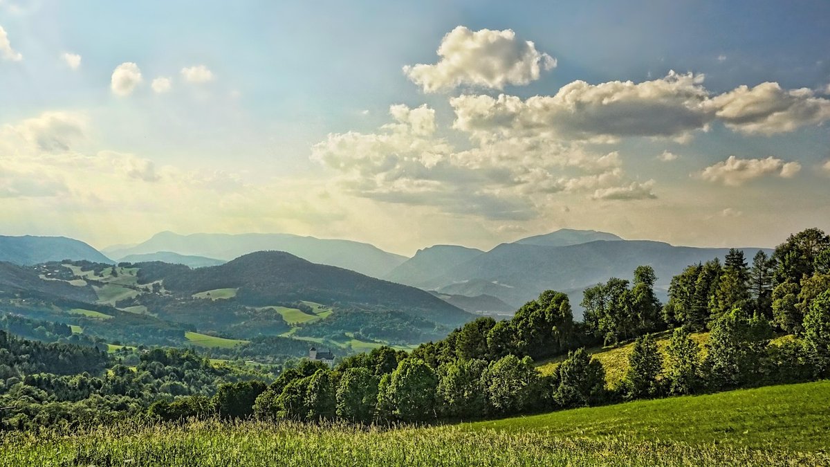 Understanding rural bus timetables without losing your patience